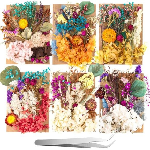200 Pcs Natural Dried Pressed Flowers and Leaves Resin Real Dried Flower Leaves - Picture 1 of 8